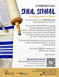 Adult Bnai Mitzvah Classes 2026.png