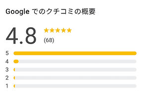 レビュー