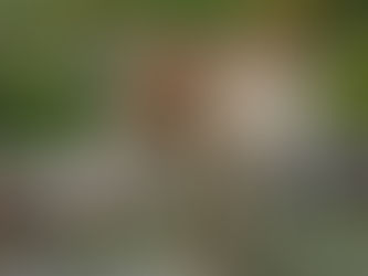 🏆 The Ultimate China Travel Itinerary (Top 10 Best Routes for 2026)