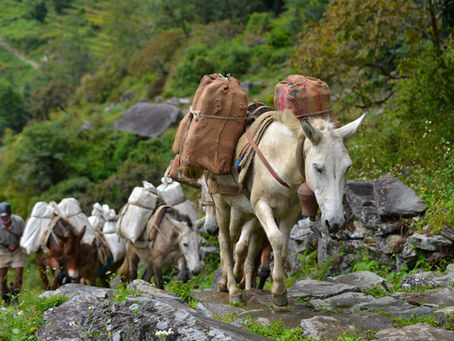 Yunnan Weather and Climate by Month: Your Ultimate Travel Guide