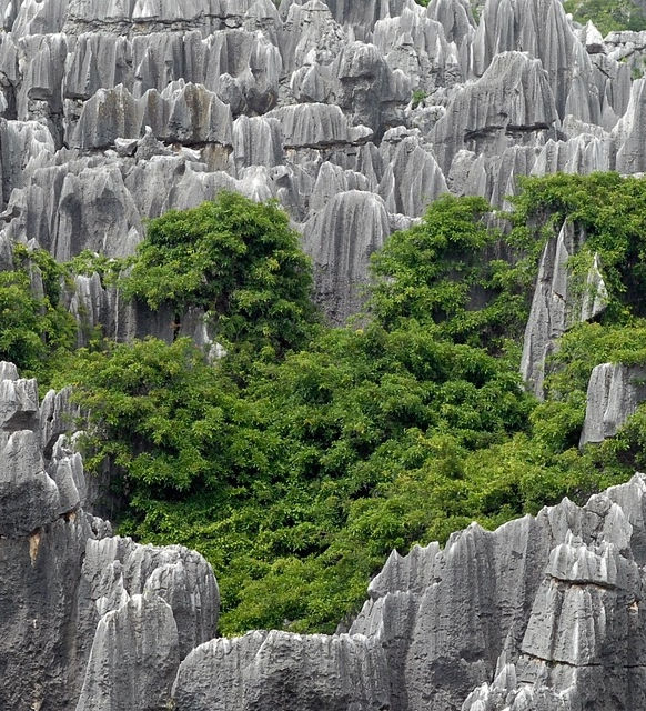 Marvel at UNESCO’s Stone Forest