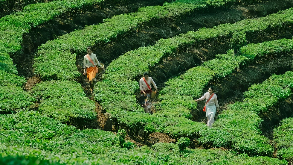The Complete Guide to Tours of China: Top Destinations, Best Times, and Expert Tips for 2026