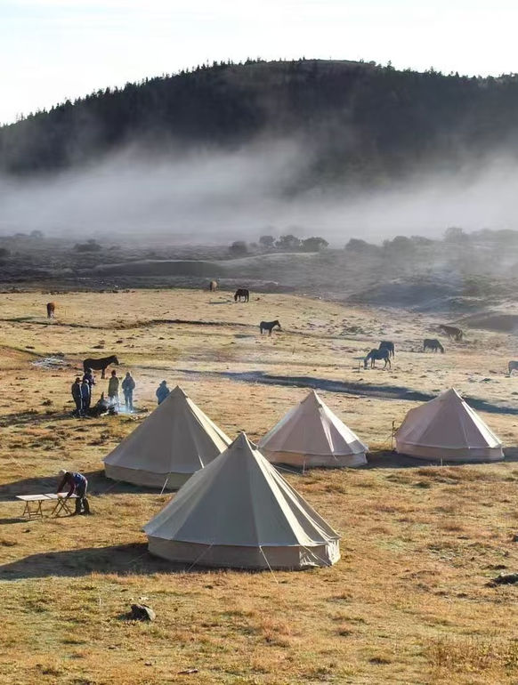 Mountain Pasture Picnic at 3,600 Meters