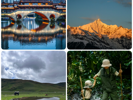 Tours to China: A Strategic Guide to Choosing the Right China Itinerary — Why Yunnan Deserves the Spotlight