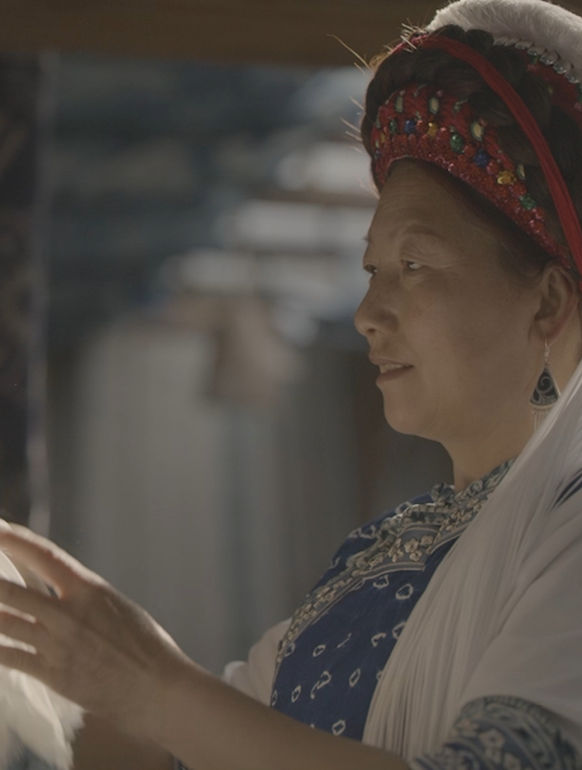 Immerse in World Heritage Cultures