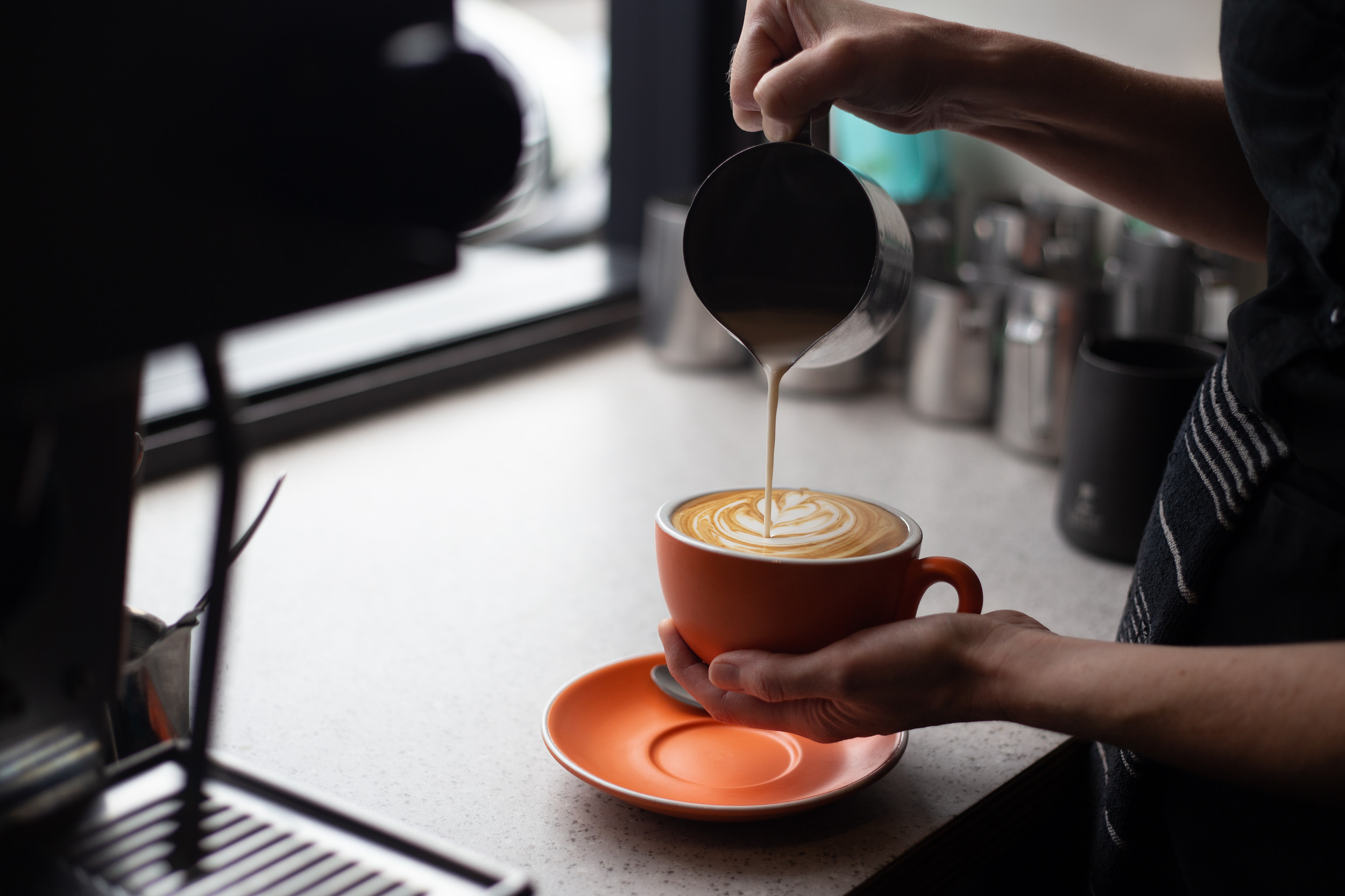 Contact Bonobo Café