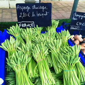 Wild Asparagus