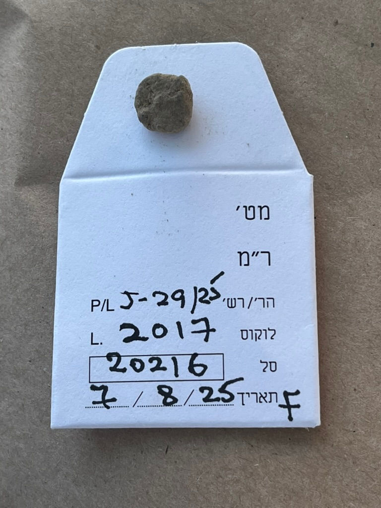 One of the many coins unearthed, catalogued, and preserved