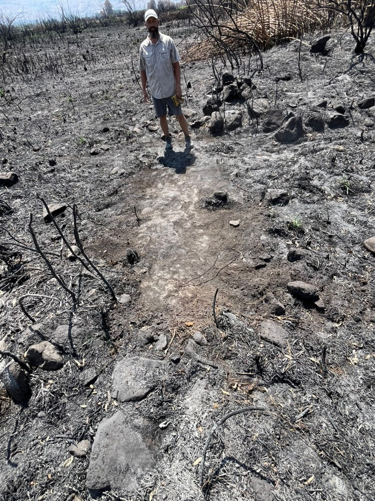 Ethan standing on what seems to be an early wall revealed by the wildfire