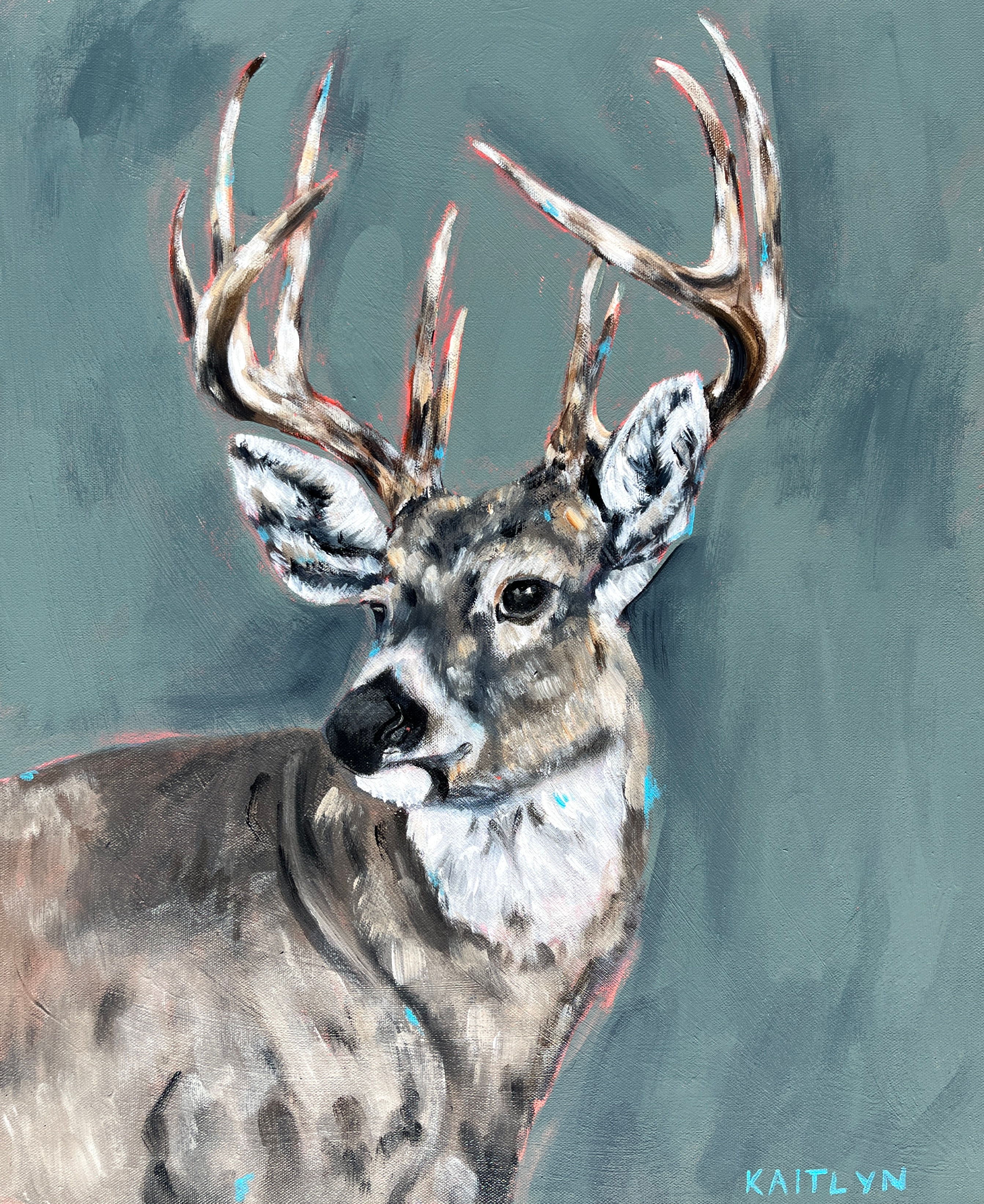 ‘Whitetail’ 18x24in
