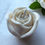 Thumbnail: ROSE CANDLE