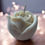 Thumbnail: ROSE CANDLE