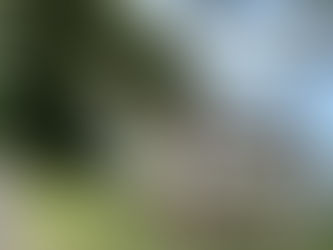 How to Get to Ometepe for Kitesurfing Step-by-Step)