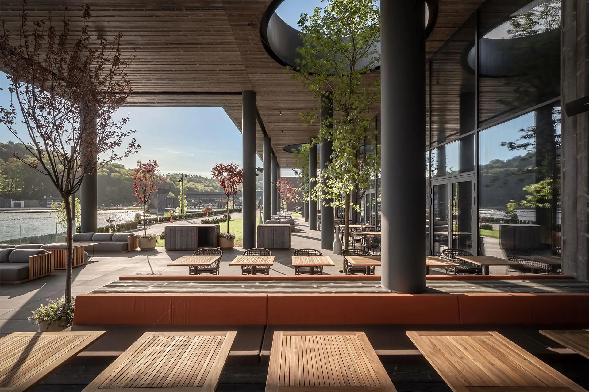 Custom Thermo Wood cladding - Commercial - Pine Wood UAE x Thermory