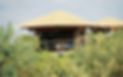 Eco Beach Resort - Eco Tent - Pine Wood Building Materials Trading LLC