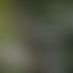 The end of the #quarantine ?