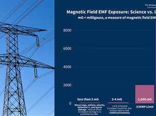 Major Wins for Children’s Health: U.S. School Districts Are Opposing High Voltage Power Lines + the 49ers May Relocate Away From the Substation!
