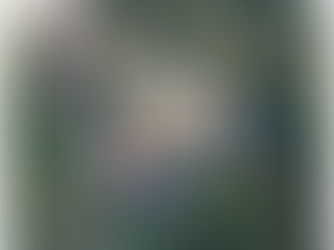 Orange BOS Meeting on 3/24 Moved 