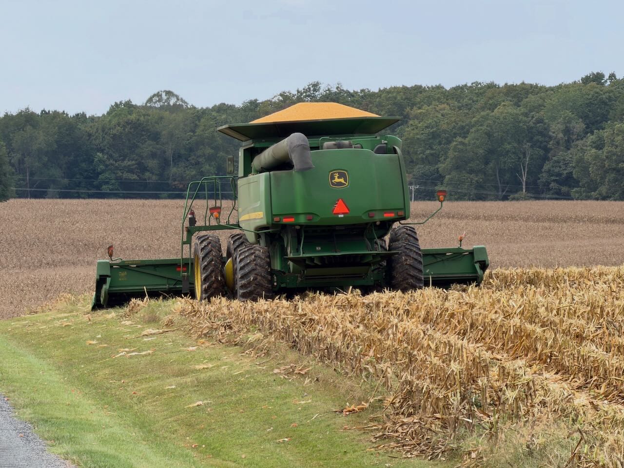 Writer: CentralVirginiaFarmer