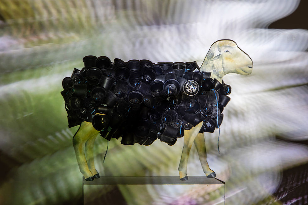 20190927_099_Proj_Silvie_Marie_Wipfler