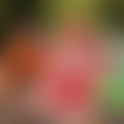 Red de Fibra Óptica transmitirá los Panamericanos
Santiago 2023 a más de 200 millones de personas