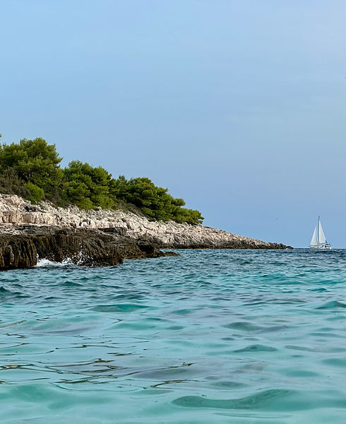 A scenic view of turquoise coastal waters with a rocky, pine-covered shoreline under a clear blue sky. A small white boat is
