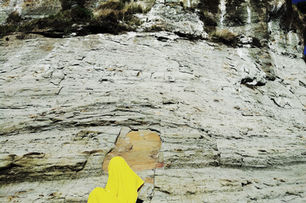 J.Lorito, Photography, Art, Oregon, yellow, landscape, portrait, rock