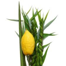 SUKKOT SCHEDULE