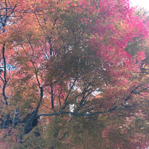 Labels, Praise, and Criticism 