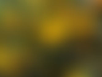 Curiosity and Creativity