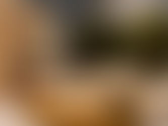 Comprar sofá em Porto Alegre: Como, Onde e Dicas para Escolher o Ideal