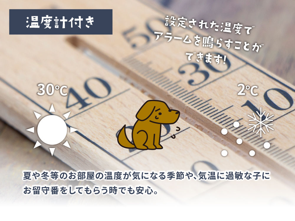 nino_web-10.jpg