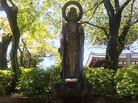 S__61071369_edited.jpg