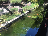 S__61071366.jpg
