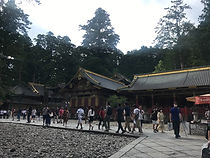 S__62963719.jpg