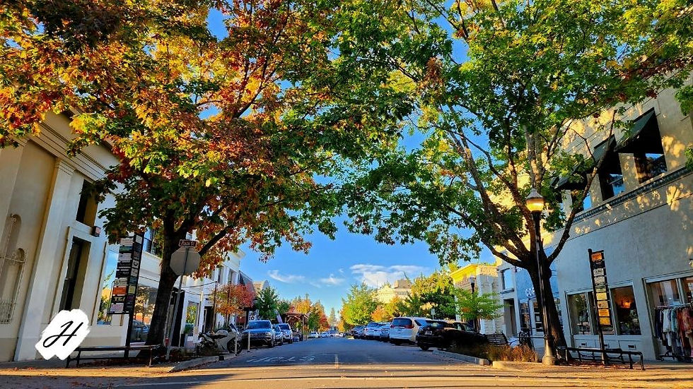 autumn-view-down-center-street-in-healdsburg-california