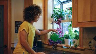 Beginner-friendly herbs you can grow on a windowsill