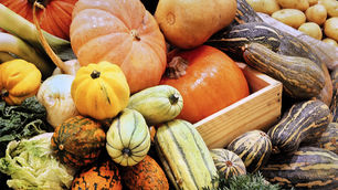 6 Great Foods for a Robust Immune System This Fall