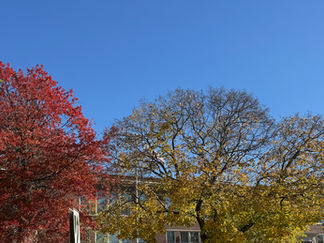 It must be November, Since our November Release is Out