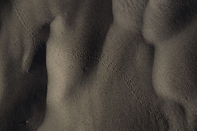 Plan rapproché de dunes de sable semblables au grain de la peau.