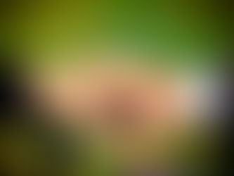 Technology-Free Dating: Isn’t it Romantic