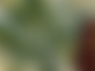 Ni de allá ni de acá 🚶