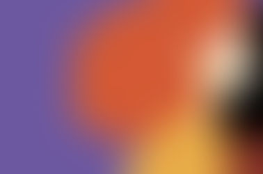 El martillo todoterreno 🔨