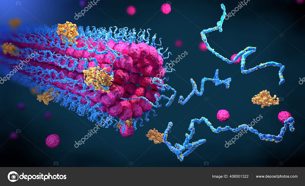 depositphotos_406501322-stock-photo-protein-enzymes-fold-structure-fulfill.jpg