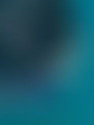 Black Seal "seals the deal" in the Final Race in Key West