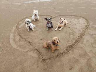 FOTO GRUPO CORAZÓN.jpeg