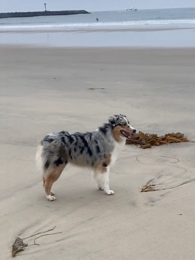 Kim stack on beach.jpeg