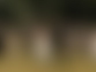 Why Lansing Wedding Photographers Keep Requesting the Tall Grasses at Meadow Wood Acres