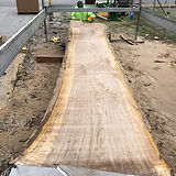 Jonathan and Lucas Mill.jpg