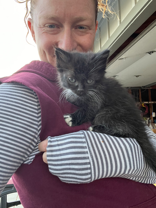 Kittens! 